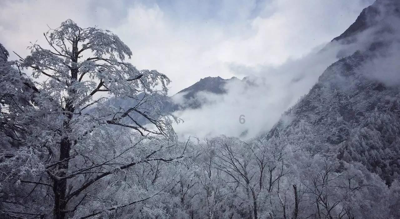 救援工程师