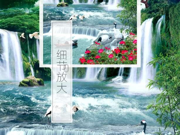 小孔雀逃脱