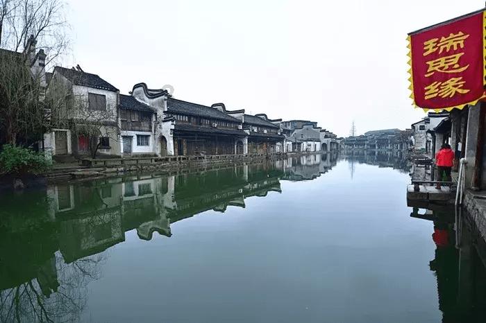 忍者鲨鱼