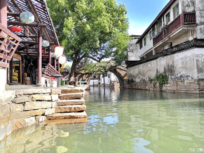 失忆的流浪者